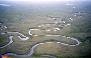 meandering-river